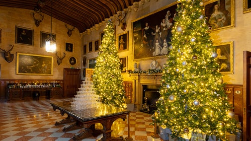 The 16-foot Christmas trees scintillate in Charlecote's Great Hall